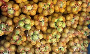 Bưởi gắn mác Soi Hà vài nghìn đồng một quả Bưởi gắn mác Soi Hà vài nghìn đồng một quả