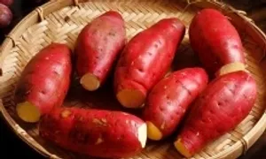 Ăn khoai lang thế nào tốt cho người đái tháo đường Ăn khoai lang thế nào tốt cho người đái tháo đường