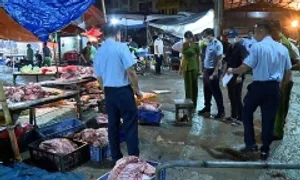 Tẩm tiết lên thịt lợn bệnh để 'phù phép' thành hàng tươi ngon Tẩm tiết lên thịt lợn bệnh để 'phù phép' thành hàng tươi ngon